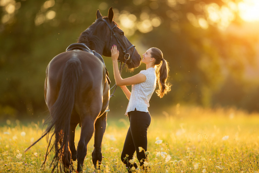 How To Care For Your Horses During Hot Weather